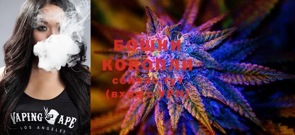 PSILOCYBIN Баксан