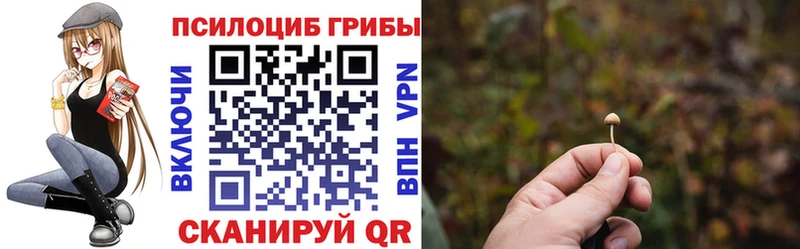 Галлюциногенные грибы ЛСД  Трубчевск 